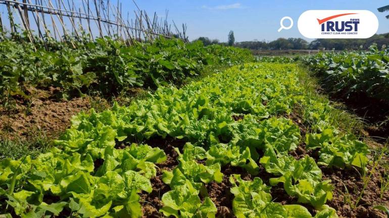 ศสก.ชู 5 คันโยกบูสต์เกษตรอินทรีย์ไทย ตามแผนฯ 71-75 ตรวจสอบได้-เจาะตลาดพรีเมียม 