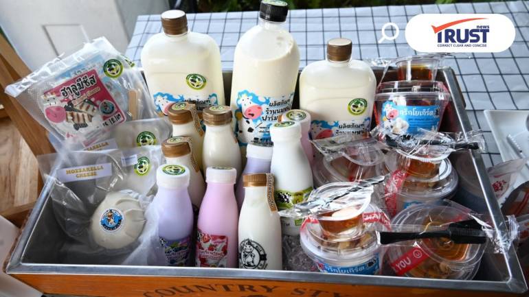 สหกรณ์โคนมฯไชยปราการ ผนึกกำลัง ดัชมิลล์ ผลิตครีมชีส กรีกโยเกิร์ตตีตลาดในไทย