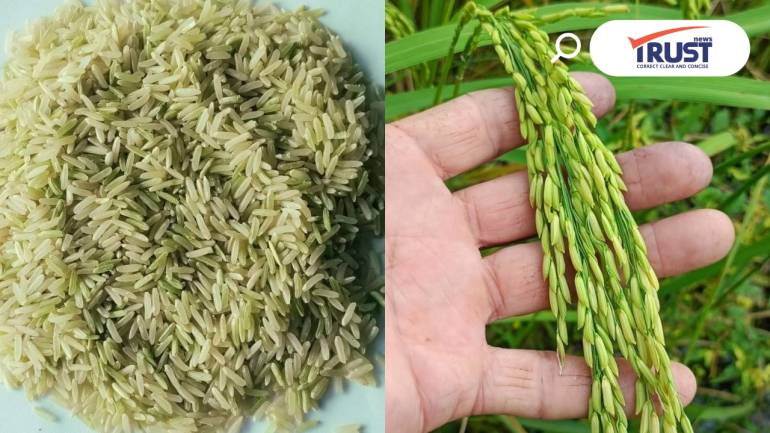 สศท.4 ชวนอุดหนุน ข้าวเขียวหยด ในงานข้าวหอมมะลิโลก ครั้งที่ 25 จ.ร้อยเอ็ด