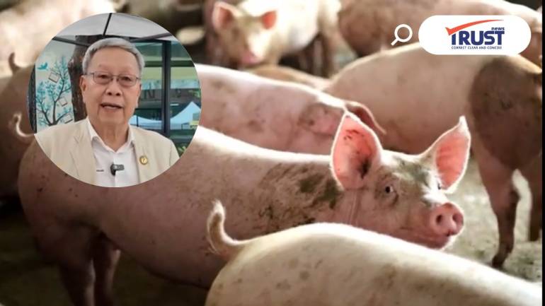 นายกสมาคมผู้เลี้ยงสุกรแจงราคาหมูแพงขึ้น เพราะอากาศร้อน โตไม่ทันขาย