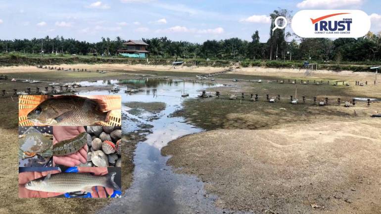 กรมประมงหนุนพลิกวิกฤติเป็นโอกาส ใช้บ่อกุ้งร้างเลี้ยง 5 สัตว์เศรษฐกิจทำรายได้