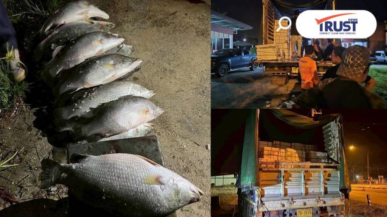 จับรถบรรทุกลอบนำเข้าปลากะพงขาวกว่า 7 ตันมูลค่าร่วม 6 ล้าน ที่ด่านสุไหงโกลก