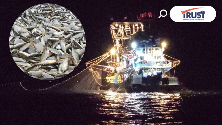 เรือประมงไทยจับปลาลัง-ปลาทู คืนแรกได้ 10 ตัน หลังสิ้นสุดมาตรการปิดอ่าว
