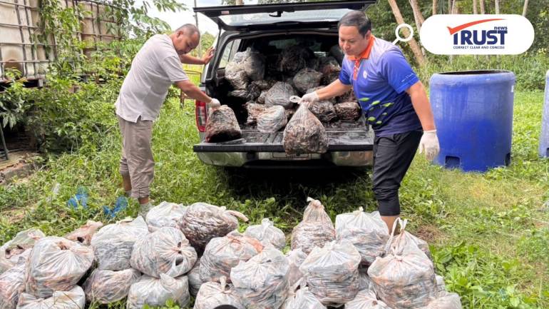 กรมประมง เผยยอดรับซื้อปลาหมอคางดำทั่วประเทศ ทะลุ 2.8 ล้านกิโลกรัม