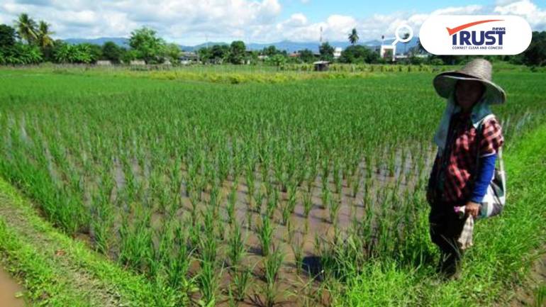 ผลสำรวจเผยเกษตรกรไทย ถือครอง-ใช้ปรโยชน์ที่ดินเฉลี่ยครัวเรือนละ 24.97 ไร่