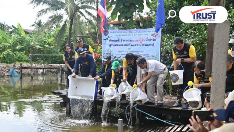 กรมประมงเดินหน้าปล่อยปลานักล่าลงแหล่งน้ำ 19 จว. เพื่อกำจัดปลาหมอคางดำ