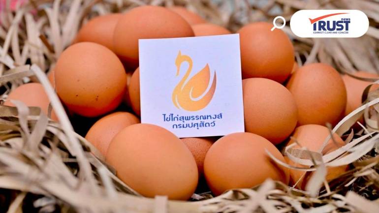กรมปศุสัตว์ ยกระดับมาตรฐานไข่ไก่ เปิดตัว 