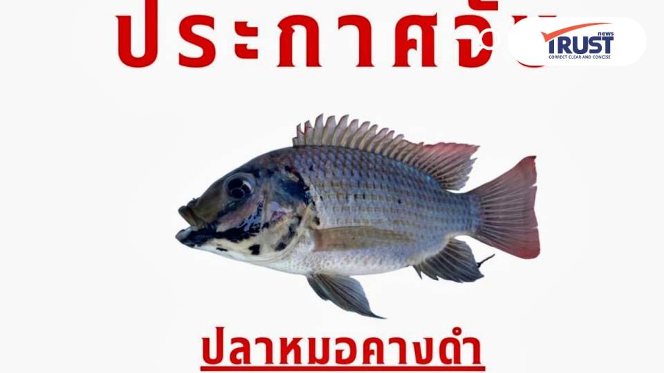 ศาลปกครอง สั่งกรมประมงปราบ 