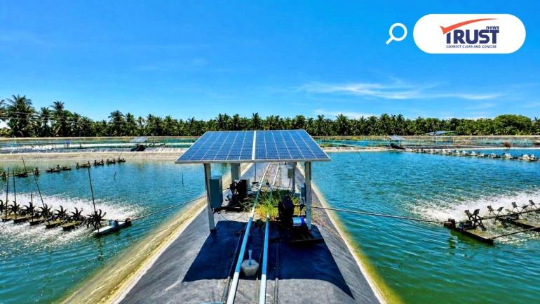 กรมประมงชวนผู้เลี้ยงกุ้งทะเล ร่วมลดต้นทุนใช้โซลาร์เซลล์ รัฐออกช่วย 50%