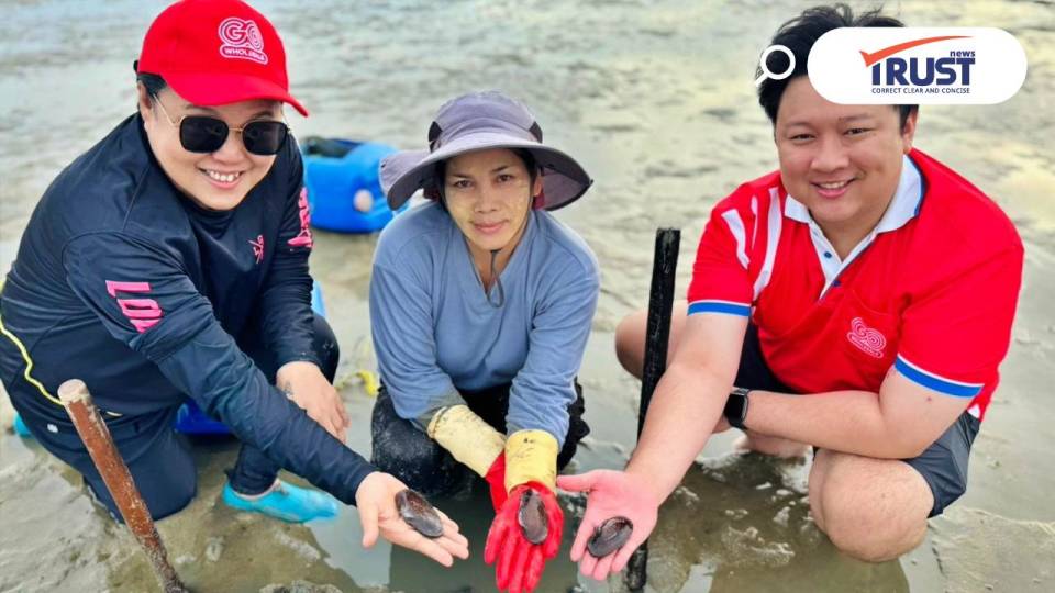 โก โฮลเซลล์ รับซื้อ หอยหินงาม หนุนวิถีประมงท้องถิ่นบ้านพุมเรียง สุราษฎร์
