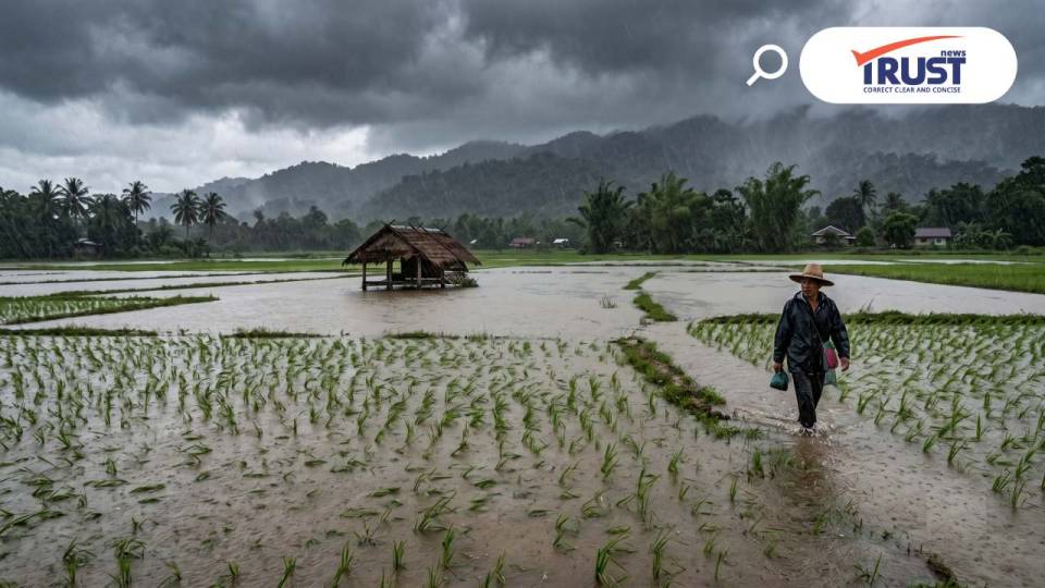 แนะเกษตรกร 