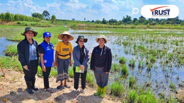 ทีมเกษตรฯ ระดมเจ้าหน้าที่ลุยช่วยเกษตรกรทั้ง 50 จังหวัด ฟื้นฟูหลังน้ำท่วม