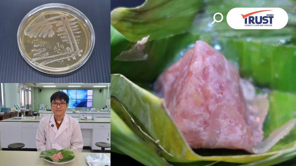 ทีมวิจัย มช.พบจุลินทรีย์โพรไบโอติกสายพันธุ์ไทยใน 