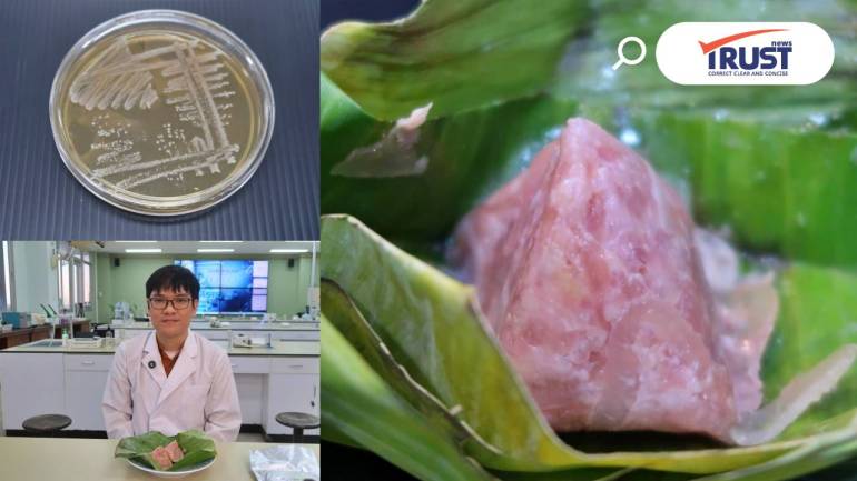 ทีมวิจัย มช.พบจุลินทรีย์โพรไบโอติกสายพันธุ์ไทยใน 