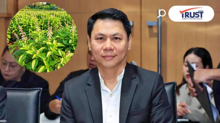 กรมส่งเสริมการเกษตร แจง "4 กะเพราพันธุ์คุ้มครอง" ไม่กระทบพันธุ์อื่น กินได้แจกได้ 