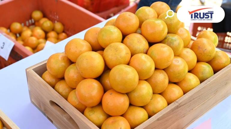 'สายน้ำผึ้งฝาง' ส้มสายน้ำแร่การันตี สินค้า GI เชียงใหม่ ลอตสุดท้ายรับไหว้เจ้า ”ตรุษจีน”