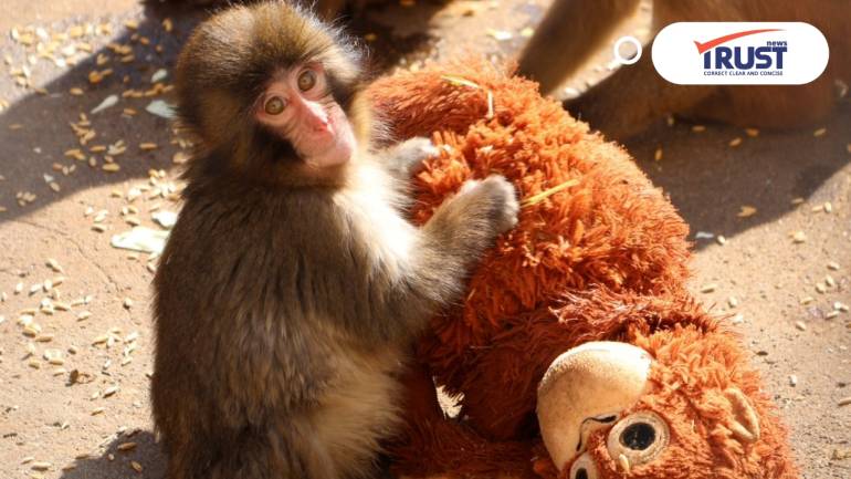 สวนสัตว์อิชิคาวะ ขอกำลังใจให้ 