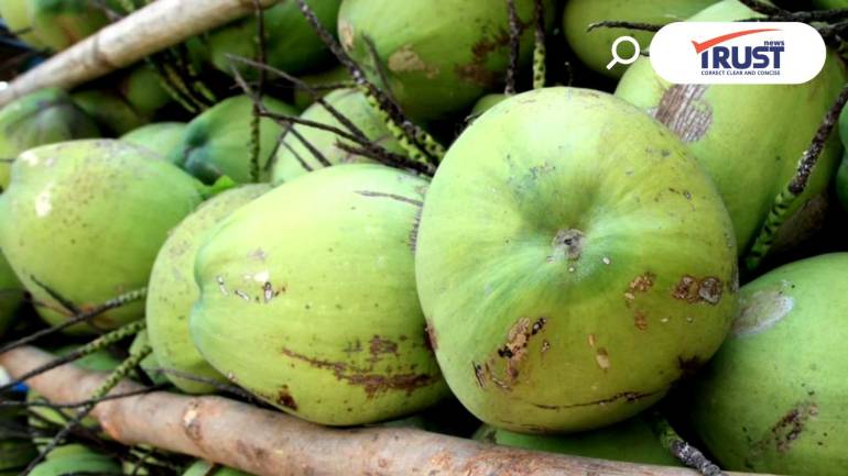 มะพร้าวน้ำหอมราชบุรี เป็นสินค้า GI ของอียูแล้ว พาณิชย์เร่งเปิดตลาด 27 ประเทศ