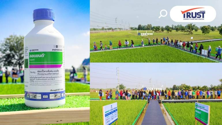 คอร์เทวา เปิดตัว ลอแยนต์ สารกำจัดวัชพืชในนาข้าว นวัตกรรมเพื่อแก้ปัญหาดื้อยา 