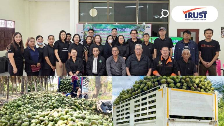 สหกรณ์ฯ มะพร้าวน้ำหอมแปลงใหญ่วัดเพลง ต้นแบบการช่วยสมาชิกโดยไม่หวังกำไร