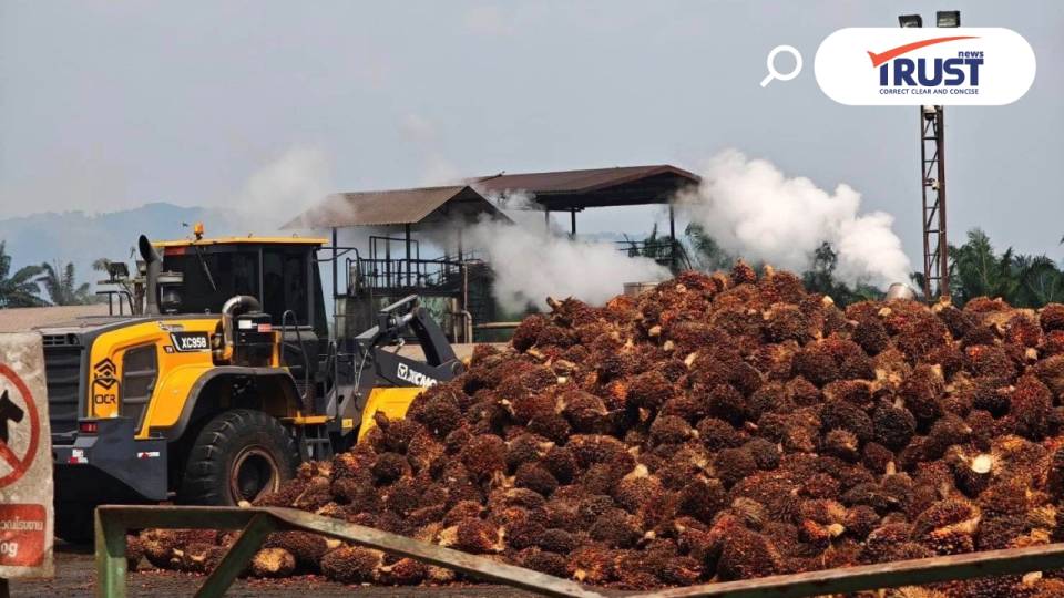 เริ่มแล้ว! พาณิชย์สั่งงดส่งออกน้ำมันปาล์มดิบ 1 ปี หลังความต้องการในประเทศสูง