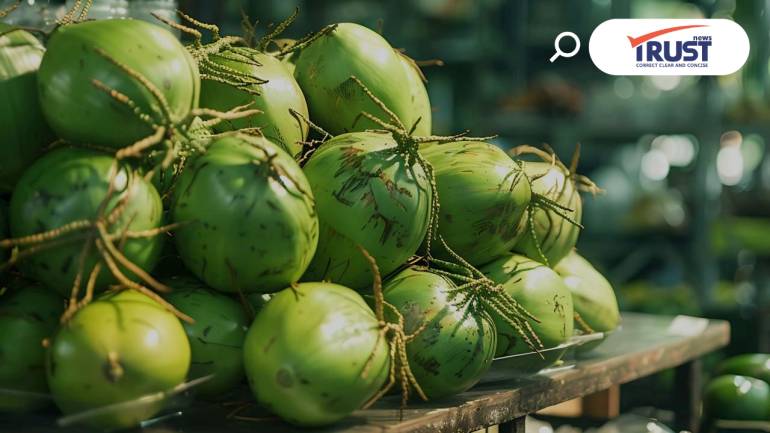 กขค.ลงพื้นที่ราชบุรี ตรวจสอบพฤติกรรมล้งมะพร้าว แก้ต้นตอราคาตกต่ำลูกละ 2-3 บาท