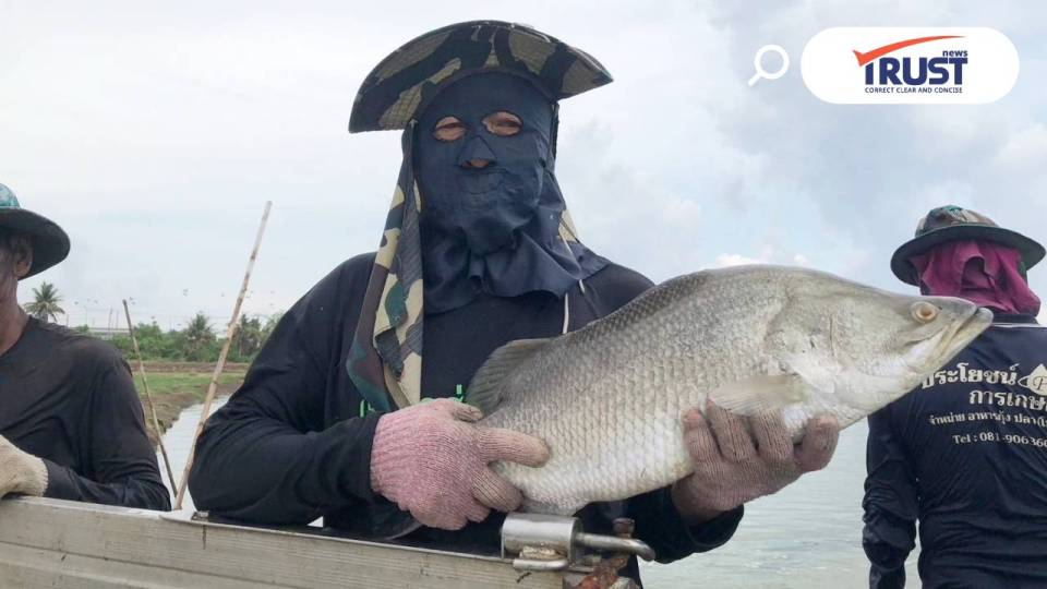 ขึ้นทะเบียน 