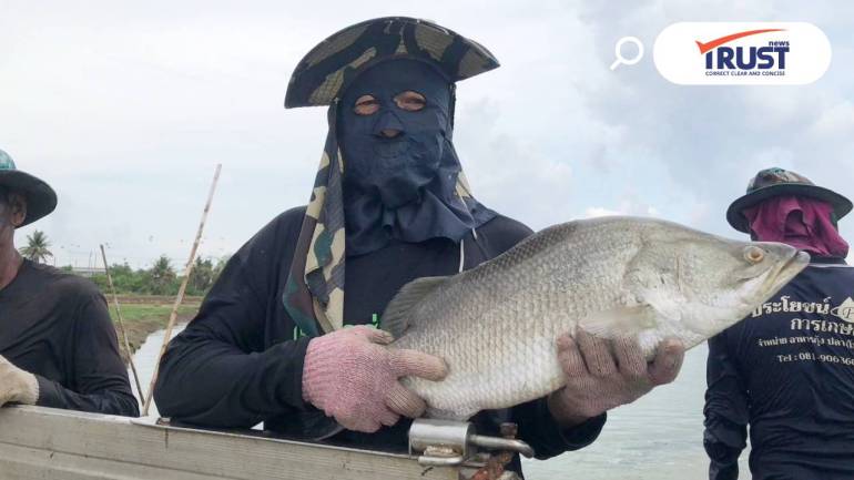 ขึ้นทะเบียน 