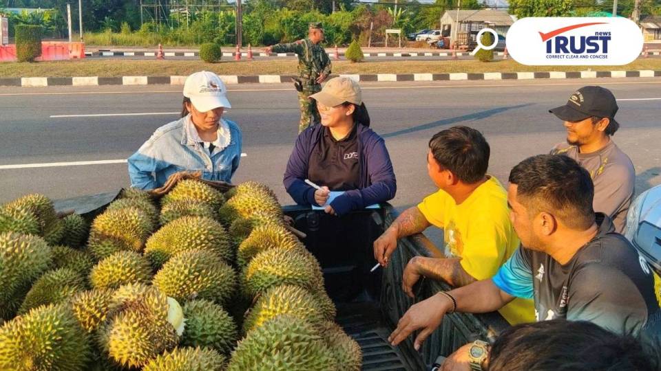 เริ่มแล้ว ตัดทุเรียนหมอนทอง กรมส่งเสริมฯ เข้มทั้งระบบ ย้ำชาวสวนให้รักษาคุณภาพ