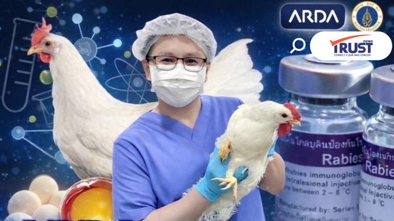 ARDA พัฒนาการผลิตเซรุ่มพิษสุนัขบ้า ลดต้นทุนจากเลือดม้า เป็นไข่ไก่ 7 ฟอง