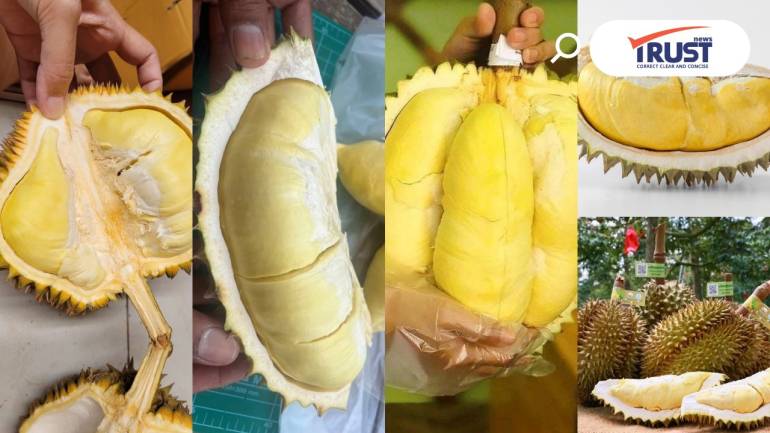 5 อันดับทุเรียน GI อัตลักษณ์แห่งผลไม้ไทย สร้างมูลค่ารวม 6.8 หมื่นล้านตอ่ปี