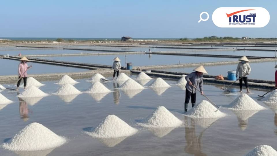 ตั้ง ฉก.แก้ปัญหาเกลือทะเลไทยทั้งระบบ มุ่งสร้างเสถียรภาพราคาและการผลิตยั่งยืน