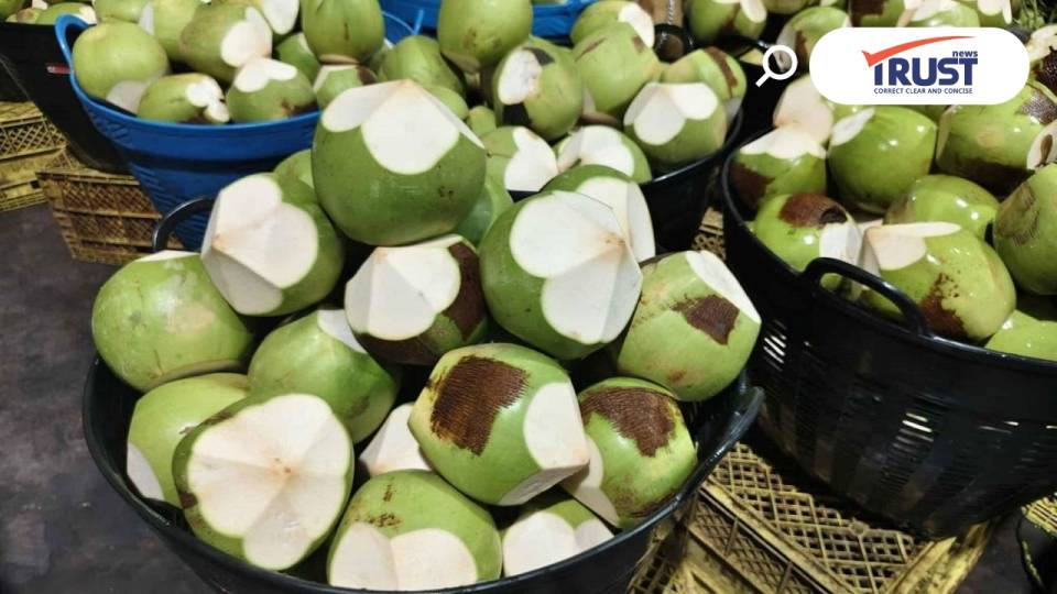 ชวนคนกรุงอุดหนุน มะพร้าวส่งตรงจากสวนช่วยเกษตรกร ซื้อ 1 แถม 2 ที่ตลาด อ.ต.ก.