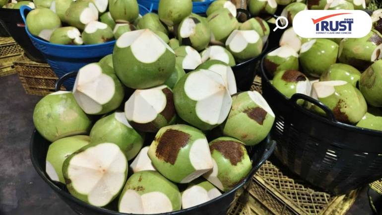 ชวนคนกรุงอุดหนุน มะพร้าวส่งตรงจากสวนช่วยเกษตรกร ซื้อ 1 แถม 2 ที่ตลาด อ.ต.ก.