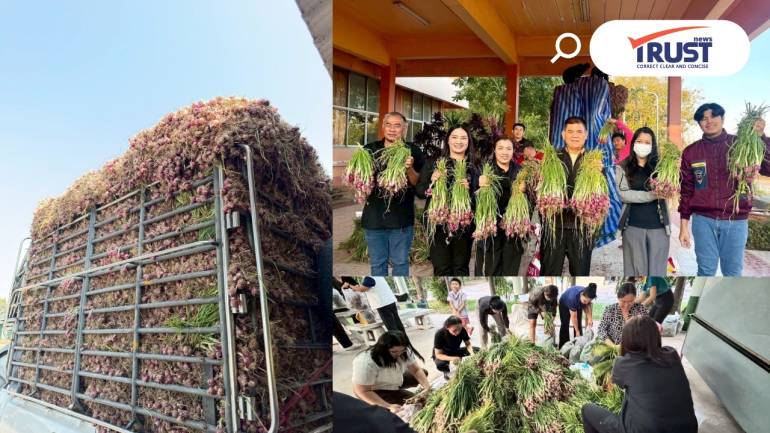 สหกรณ์ศรีสะเกษ เร่งกระจายผลผลิตหอมแดงสู่ตลาดปี 69 ตั้งเป้ารอบแรก 40 ตัน