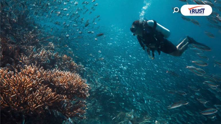 6 ประเด็นสำคัญต้องรู้ ก่อนคิดลงทุนวันนี้ (12พ.ย.68)