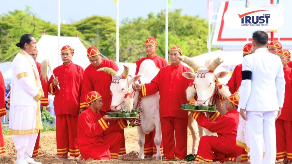 พระราชพิธีพืชมงคลฯ 69 ผลเสี่ยงทาย ผ้านุ่ง 6 คืบ พระโคกิน ถั่ว น้ำ หญ้า เหล้า 