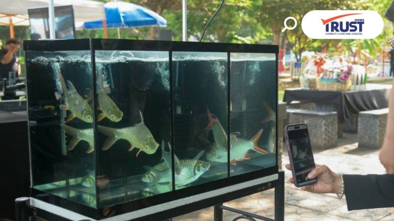กรมประมง แจง แอปฯ Thailand FishAI ผิดพลาด ชี้ ฐานข้อมูลยังจำกัดอยู่ราวๆ 50 ชนิด 