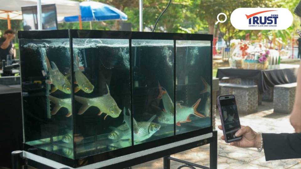 กรมประมง แจง แอปฯ Thailand FishAI ผิดพลาด ชี้ ฐานข้อมูลยังจำกัดอยู่ราวๆ 50 ชนิด 
