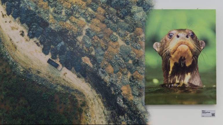 2 นิทรรศการภาพถ่ายระดับโลก กับความหลากหลายทางชีวภาพ